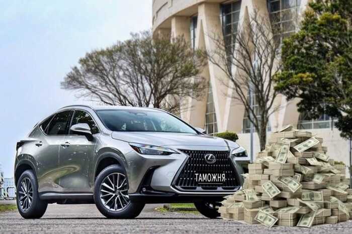 Lexus, квартира за $65 тисяч і тіньова готівка: що ховає Тетяна Березкіна від НАЗК