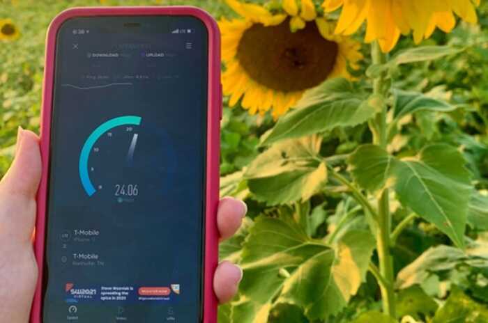 У Росії заблокували сервіс для перевірки швидкості інтернету Speedtest